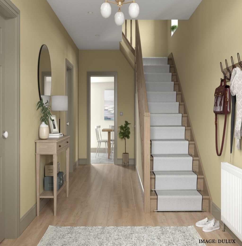 DULUX-WILD-WONDER-3